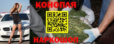 a pvp Кингисепп