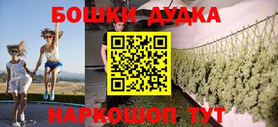 a pvp Кингисепп