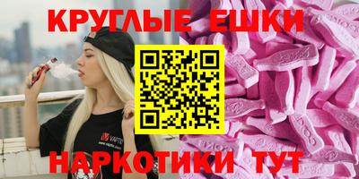 a pvp Кингисепп