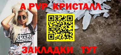 a pvp Кингисепп